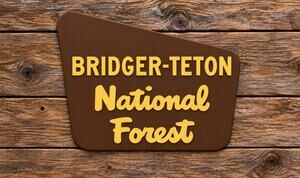 Bridger Teton National Forest Entrance Sign Wyoming Camp Hike Park Customize